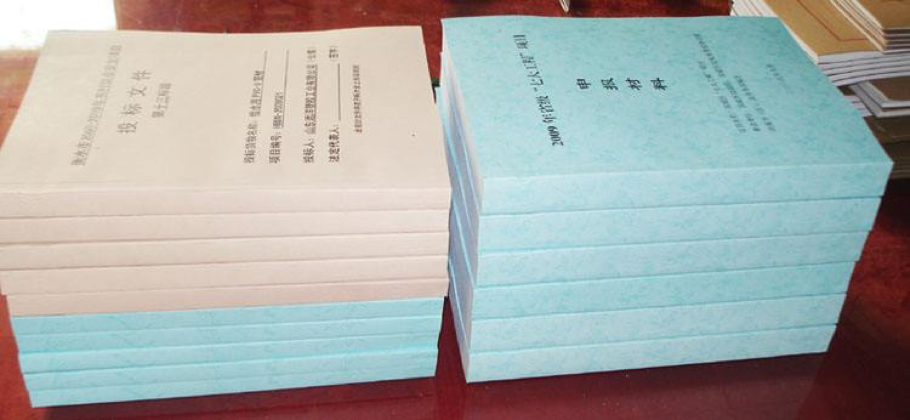 標(biāo)書翻譯收費(fèi)標(biāo)準(zhǔn)-尚語翻譯